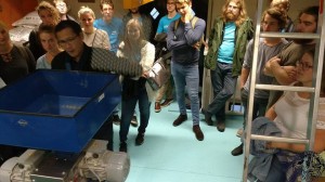 14611116 1107140056022383 7586406880926074695 n