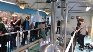 14642044 1107140039355718 6841998920467851201 n