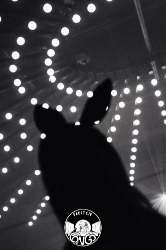 H P 2022 Panama Full Dirty Photo-217